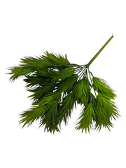 Photoroom_20250123_114729 4