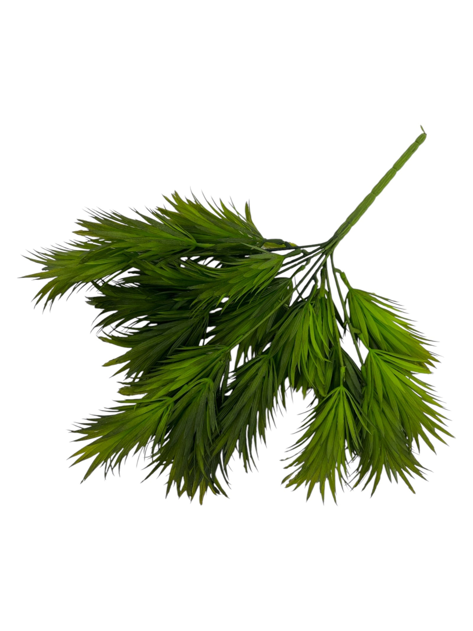 Photoroom_20250123_114729 4