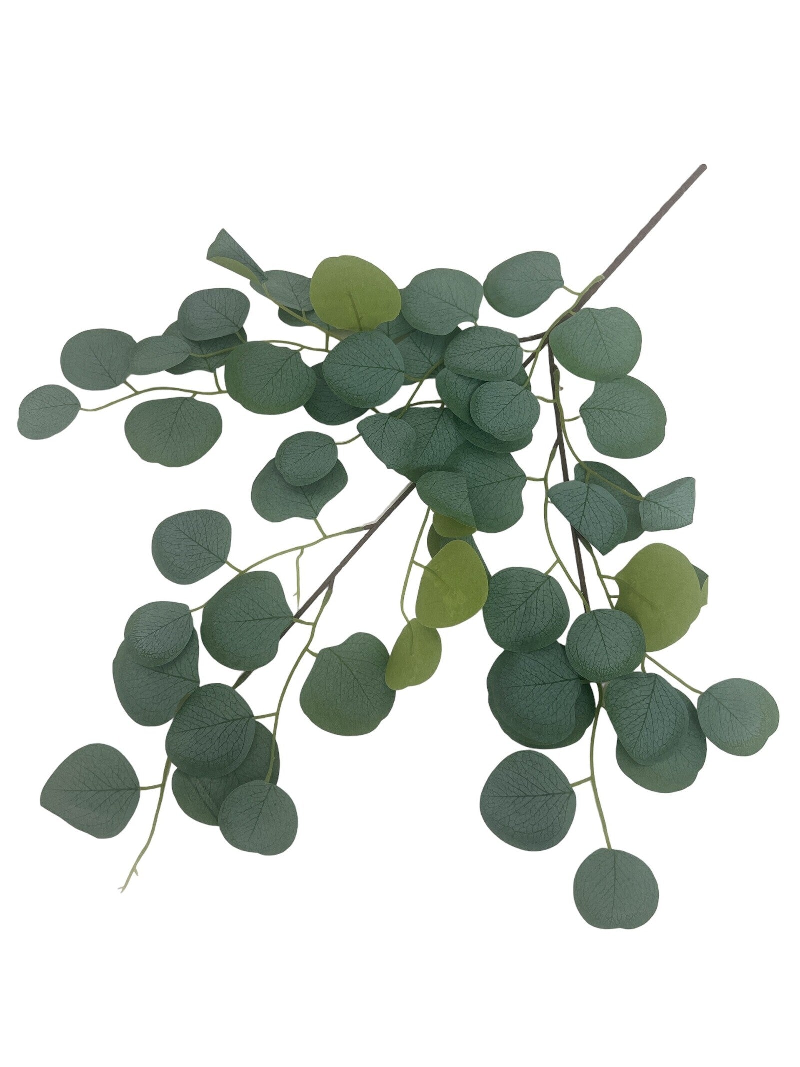 flori-artificiale-creanga-eucalipt-frunze-rotunde-verde-prafuit