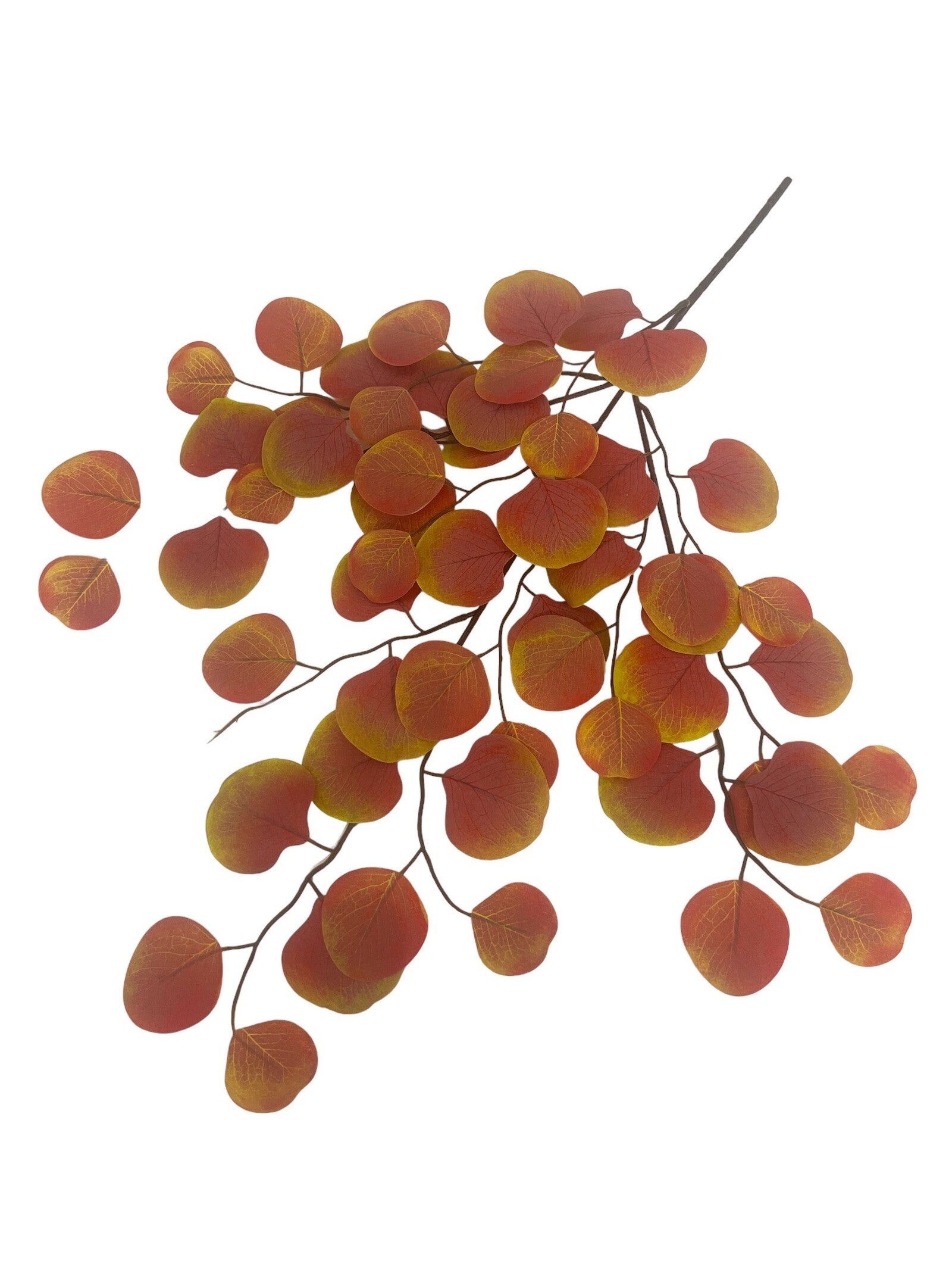 flori-artificiale-creanga-eucalipt-frunze-rotunde-verde-cu-maro