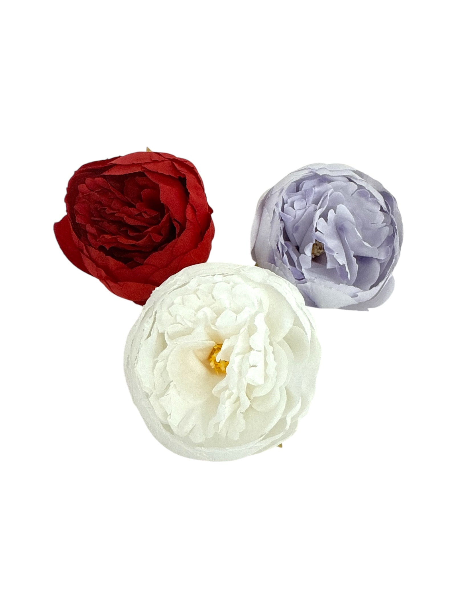 Photoroom_20250409_114730