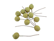 fructe-artificiale-macese-cu-sarmulita-fistic-100set