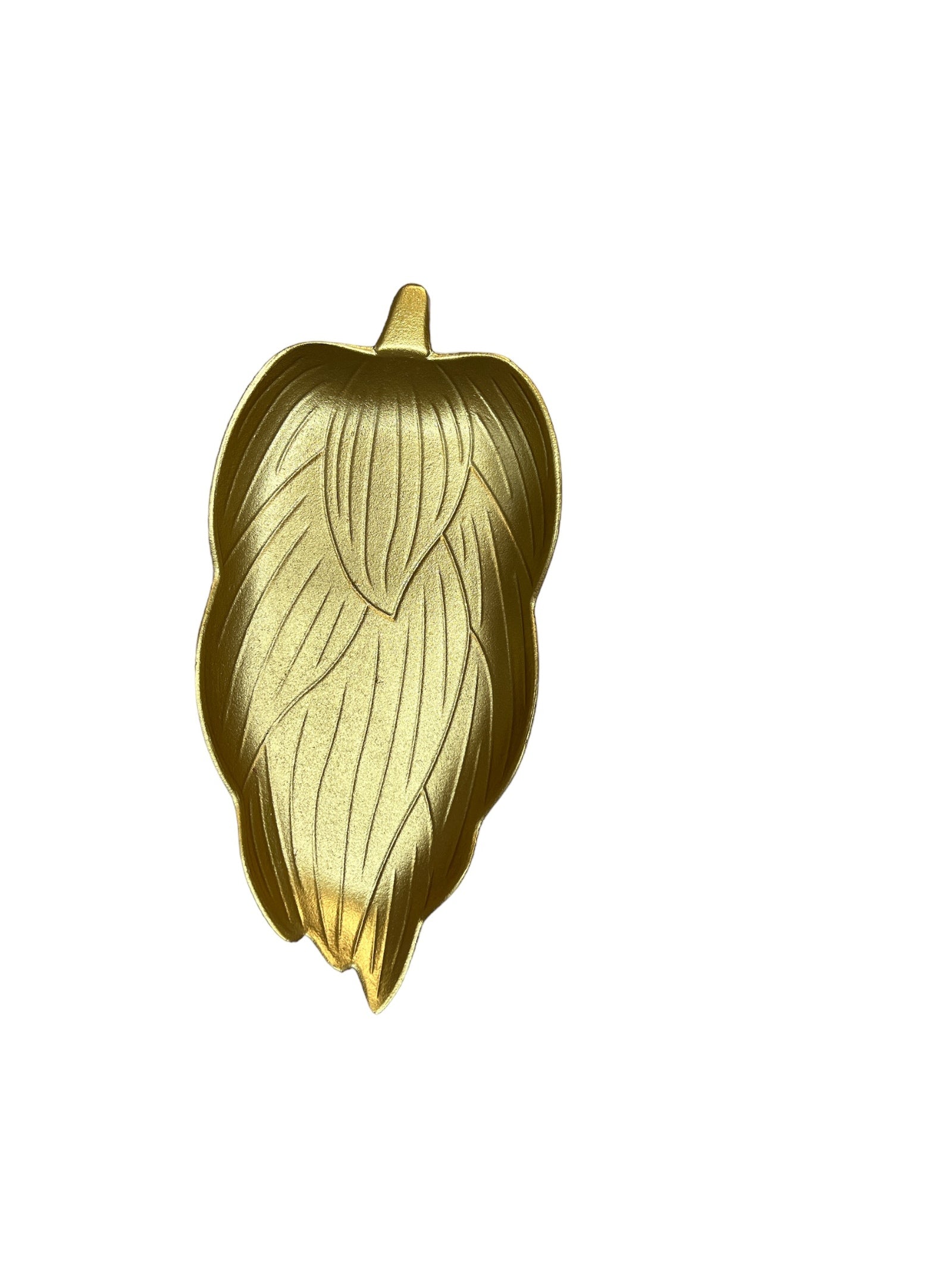 PhotoRoom_20230925_151429