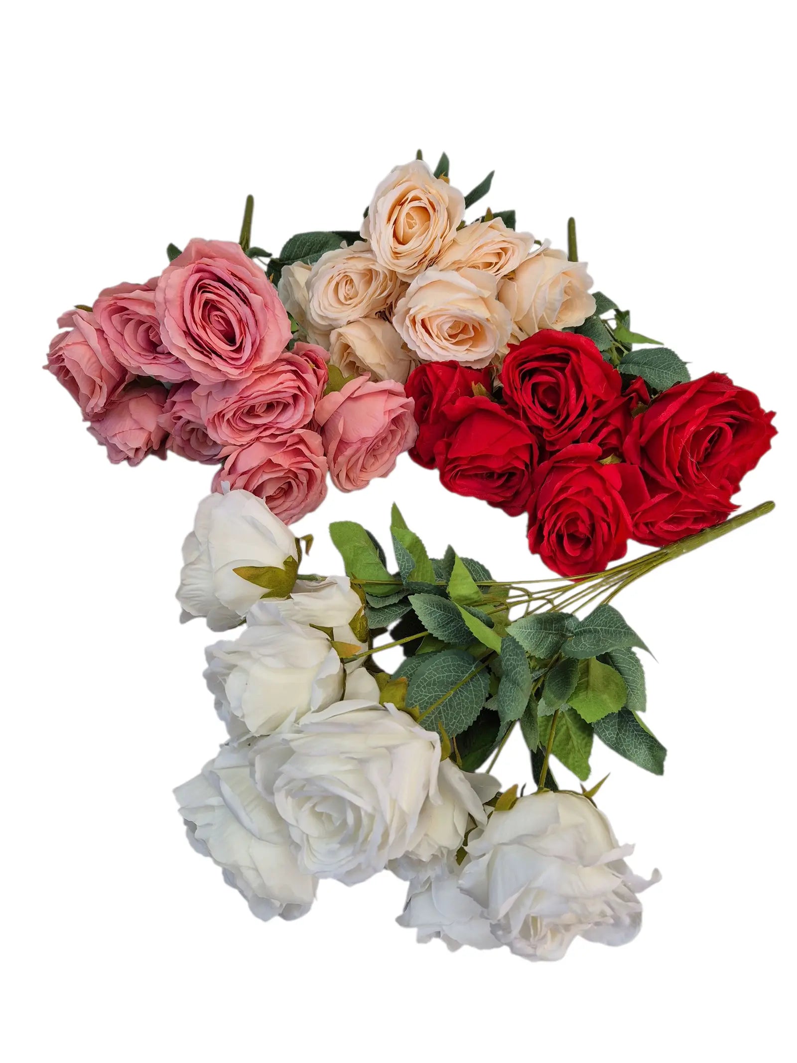 IMG_2344738000724064777