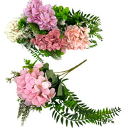 PhotoRoom_20230921_100525