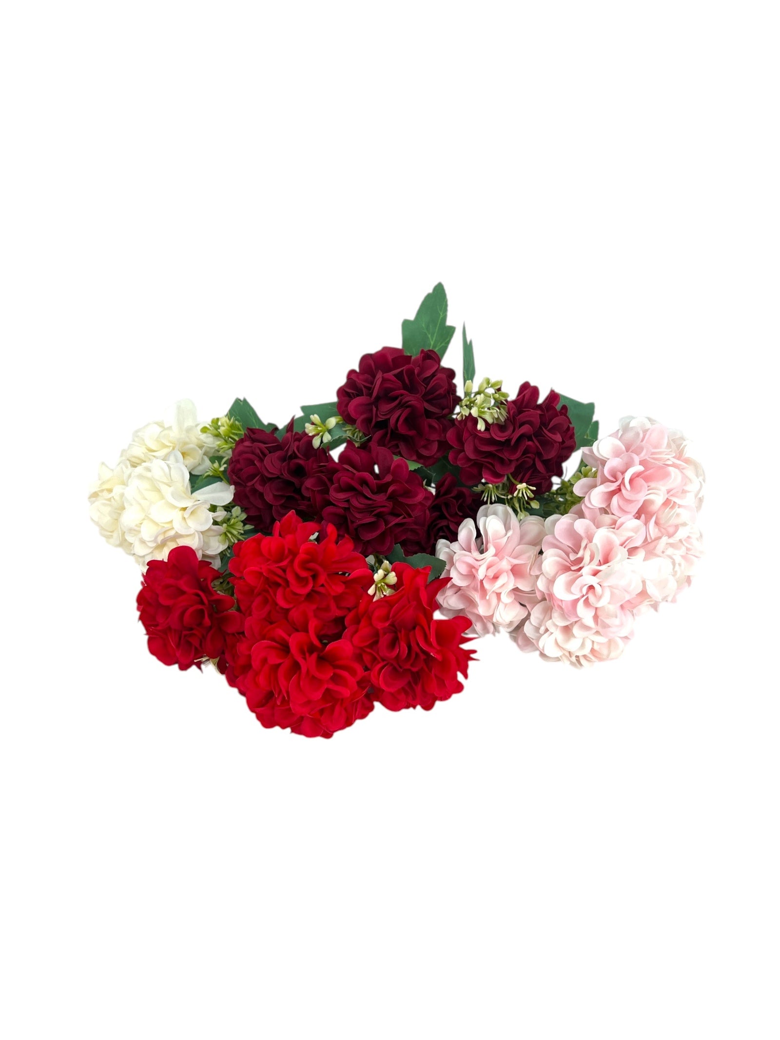 Photoroom_20250312_161002