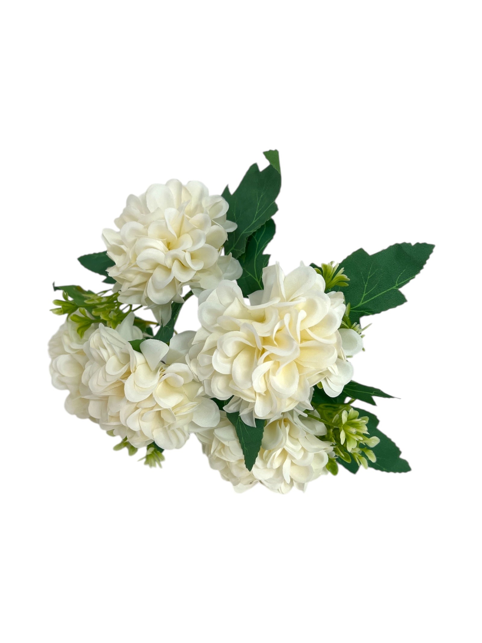 Photoroom_20250312_161119