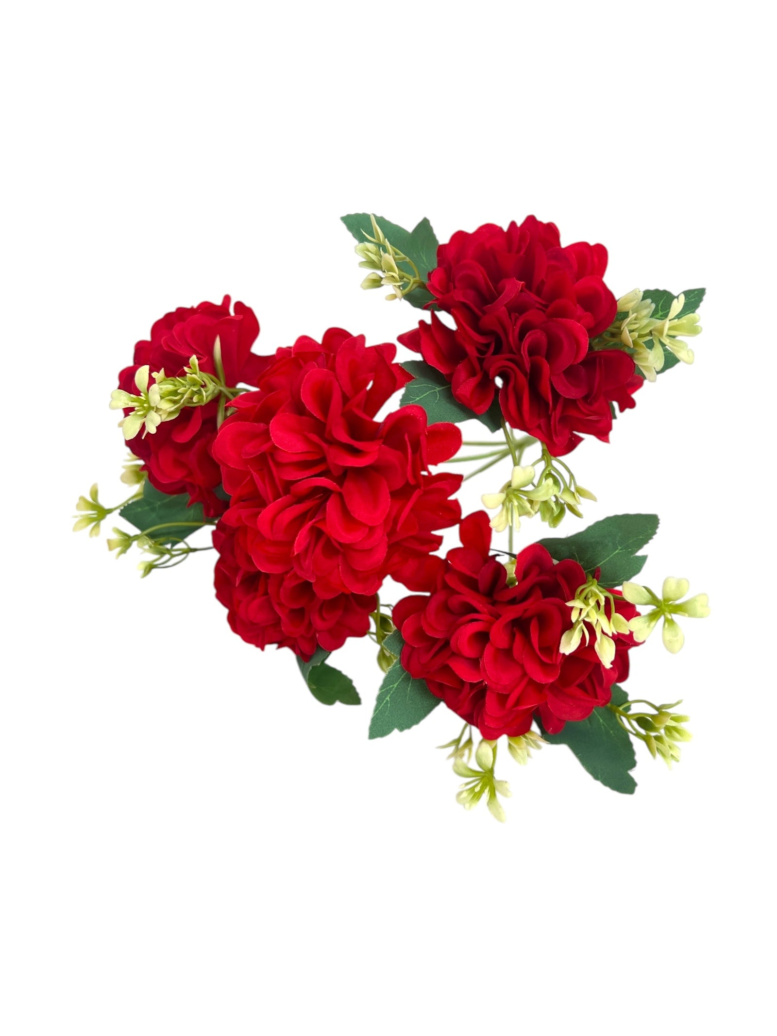 Photoroom_20250312_161250