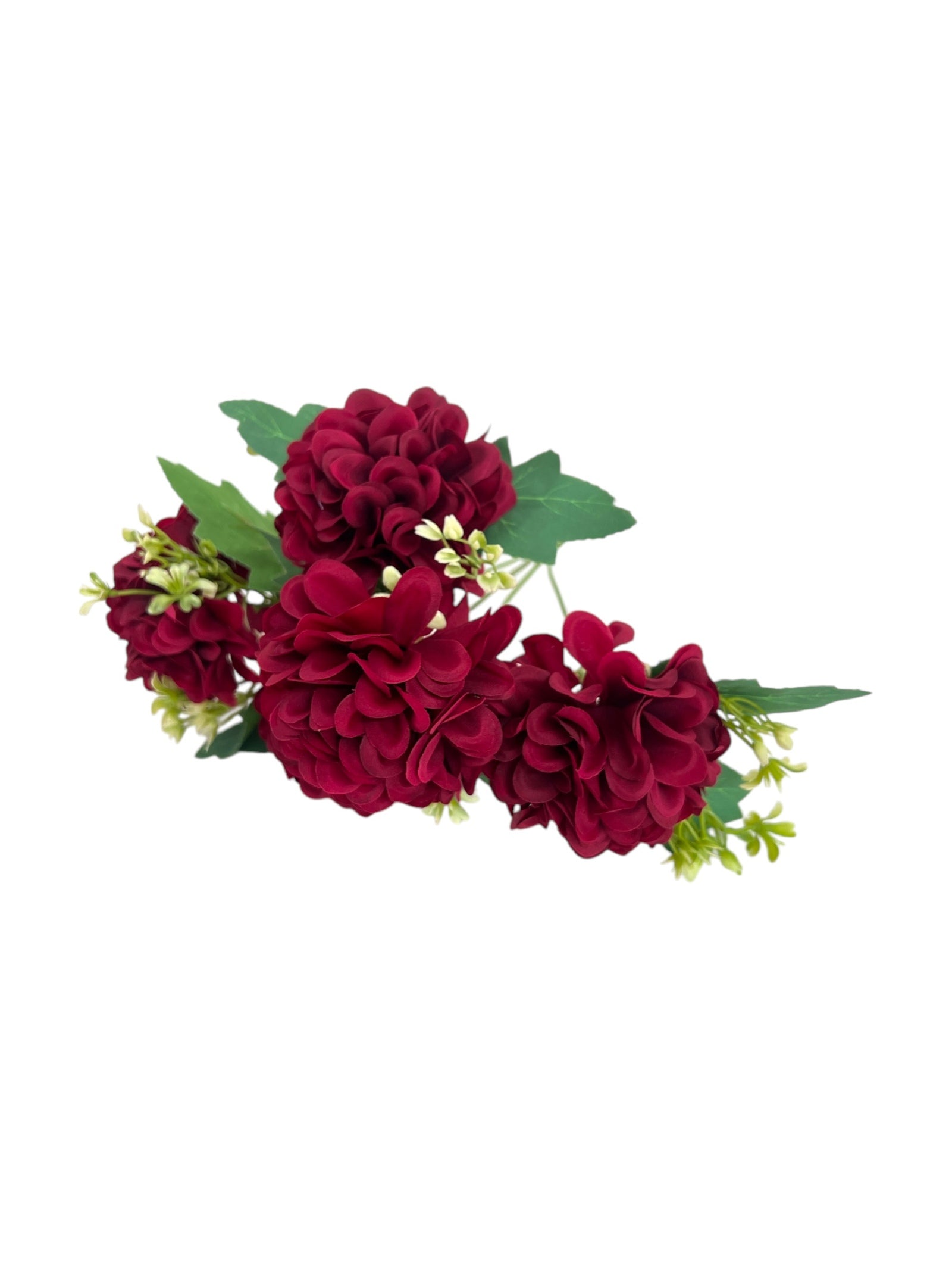 Photoroom_20250312_161346