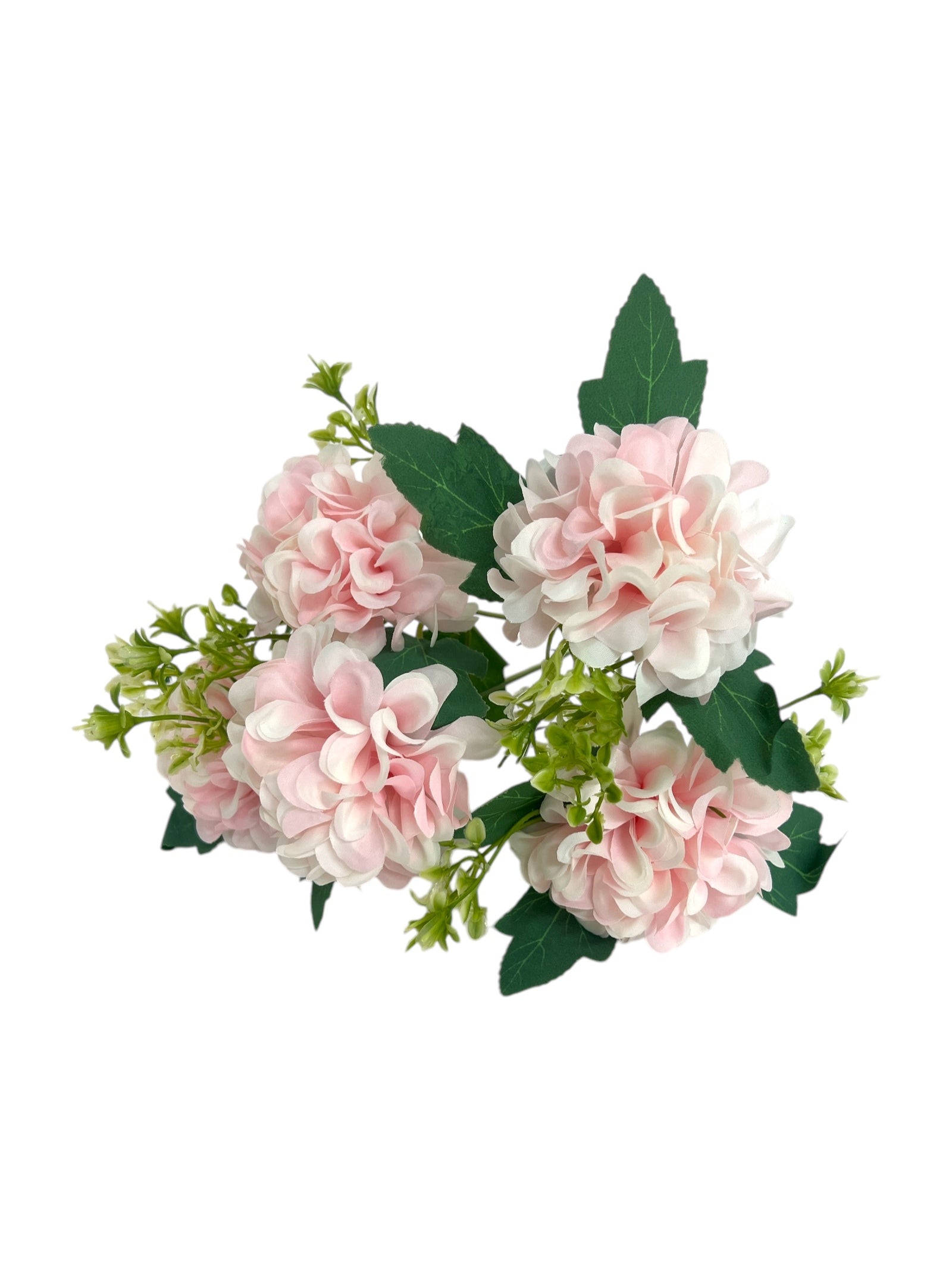 Photoroom_20250312_161452