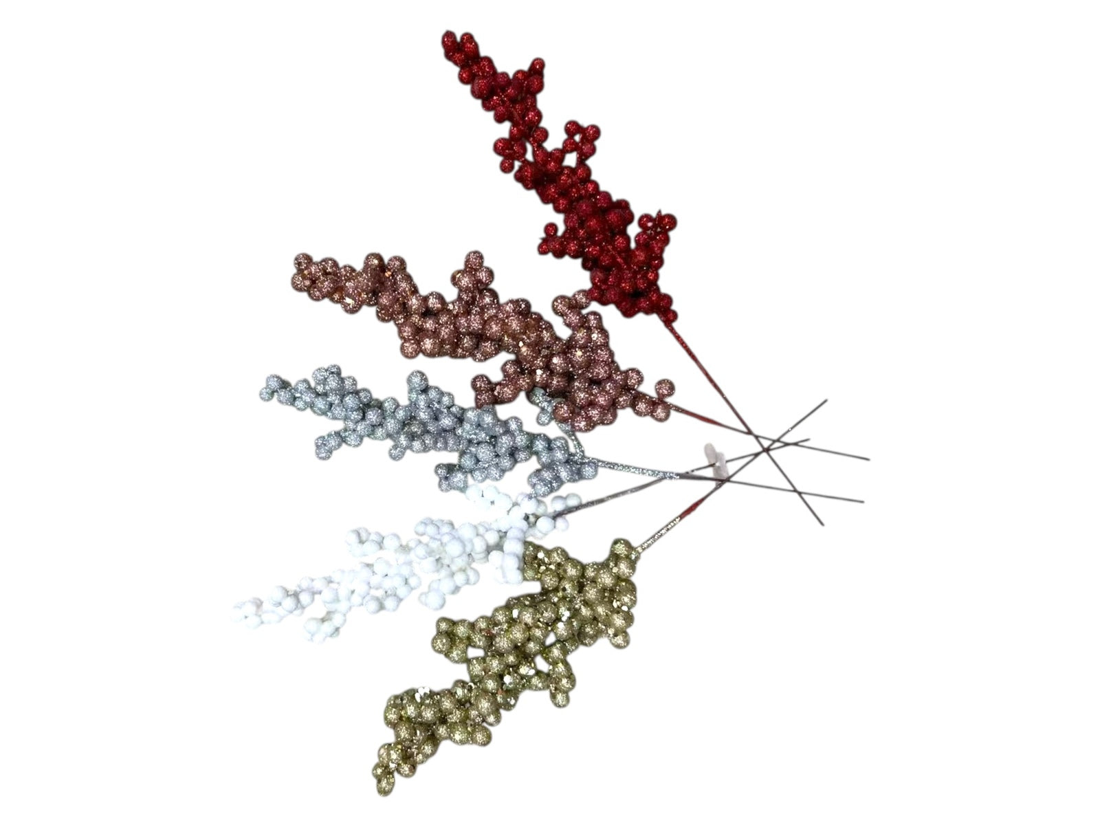 Photoroom_20251007_162358