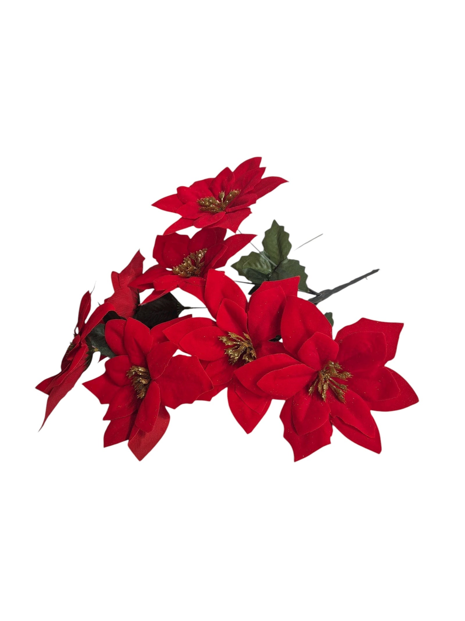 Photoroom_20251002_175611