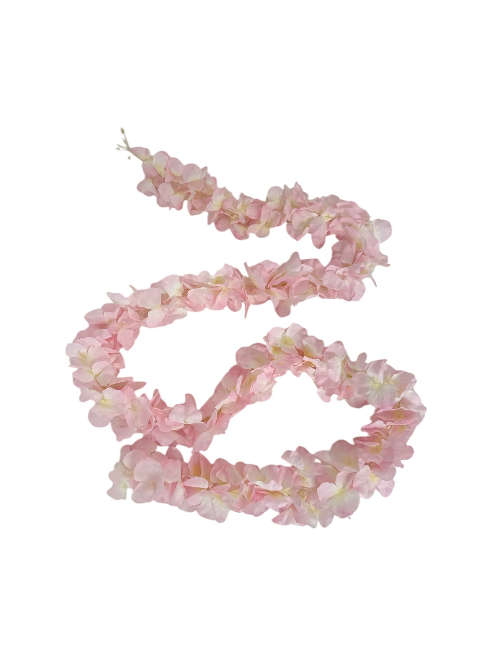 Photoroom_20250406_113724