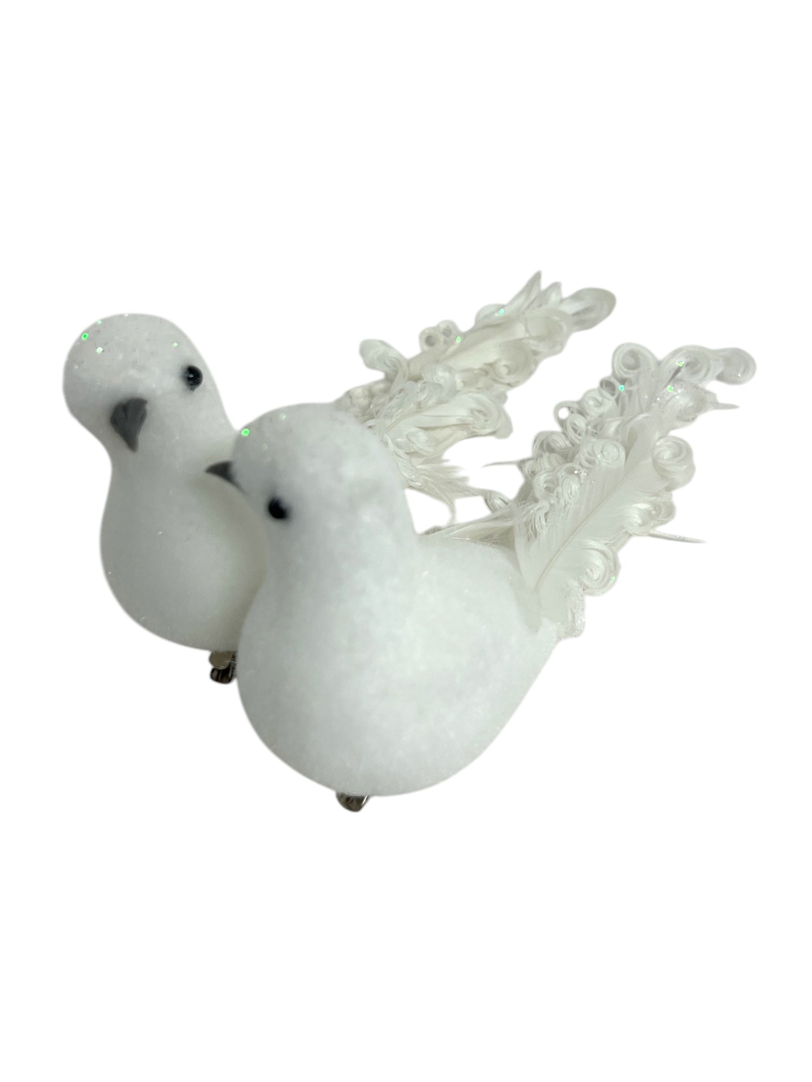 Photoroom_20250121_163045 4