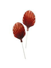 Photoroom_20240210_103339