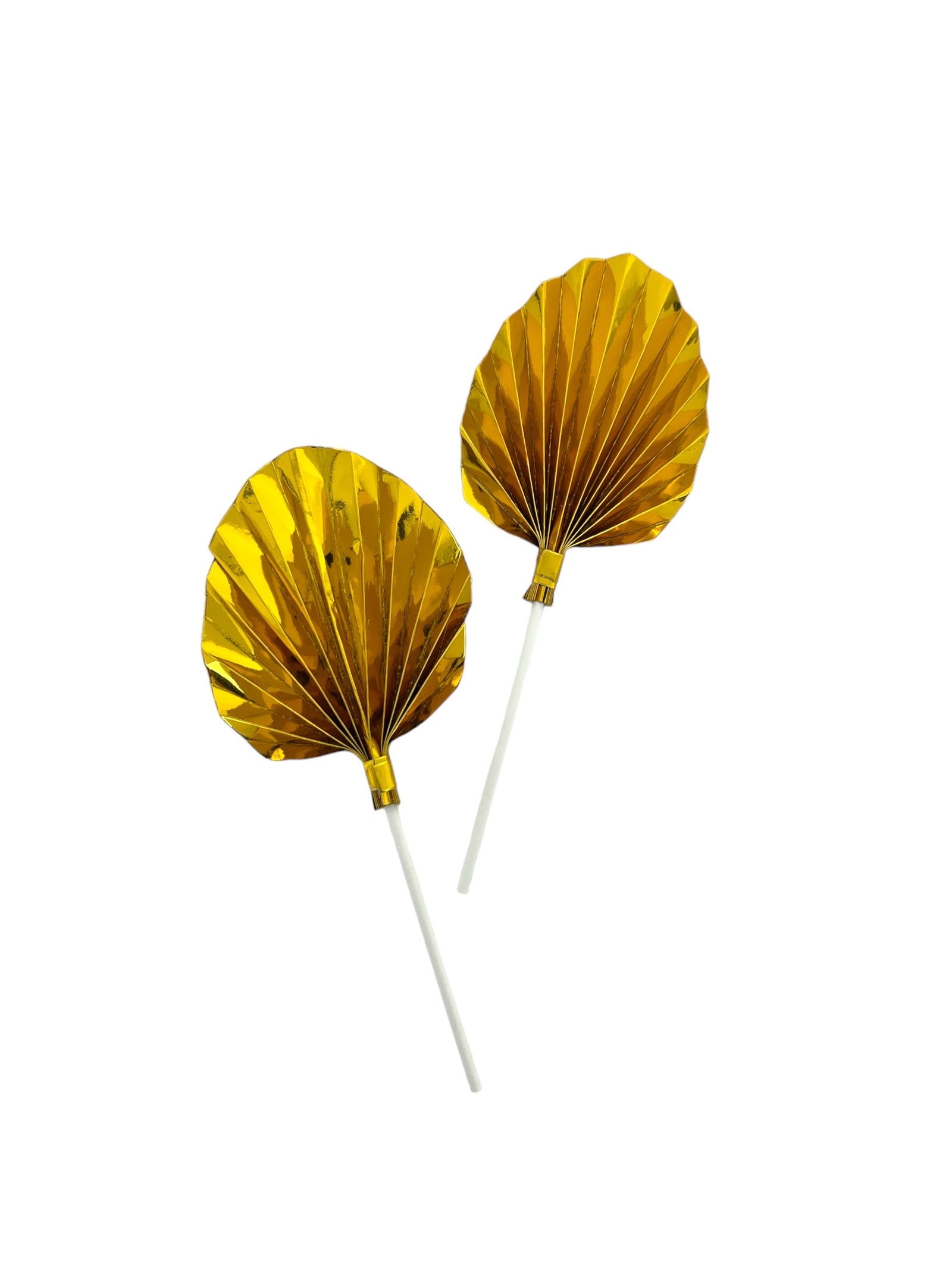 Photoroom_20240210_103506