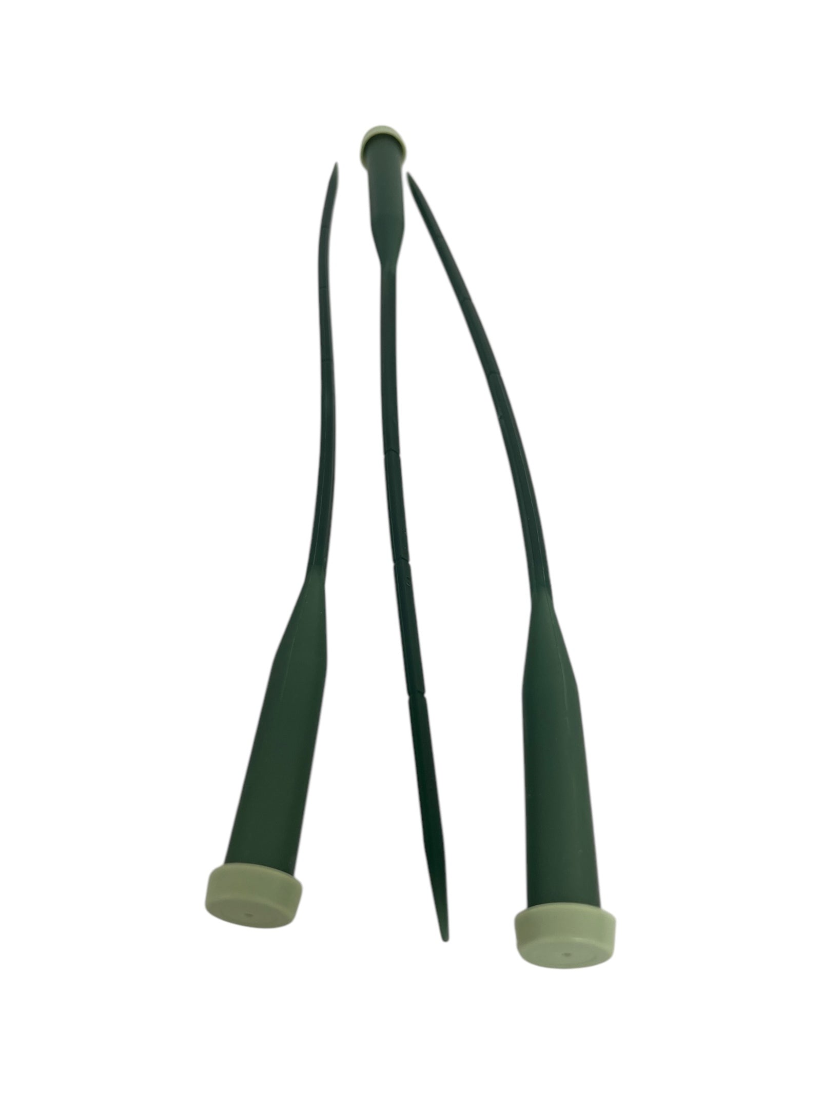 Photoroom_20250208_113138