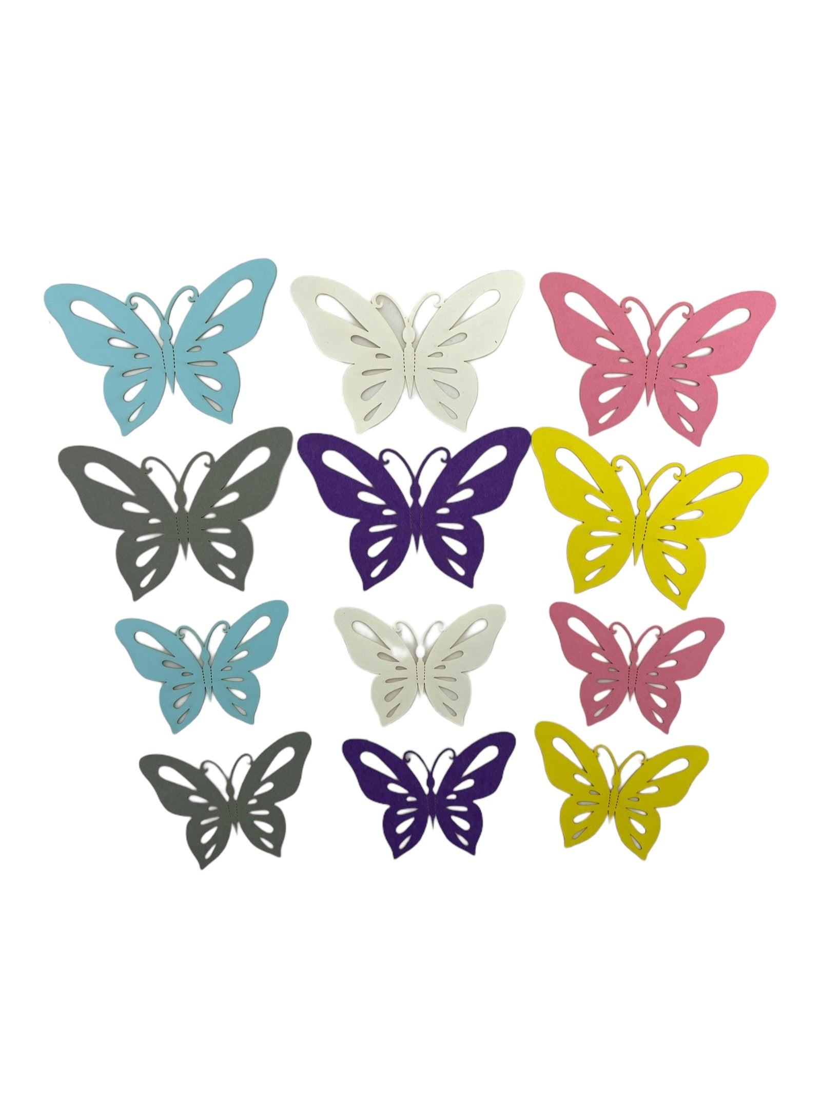 Photoroom_20240210_110252