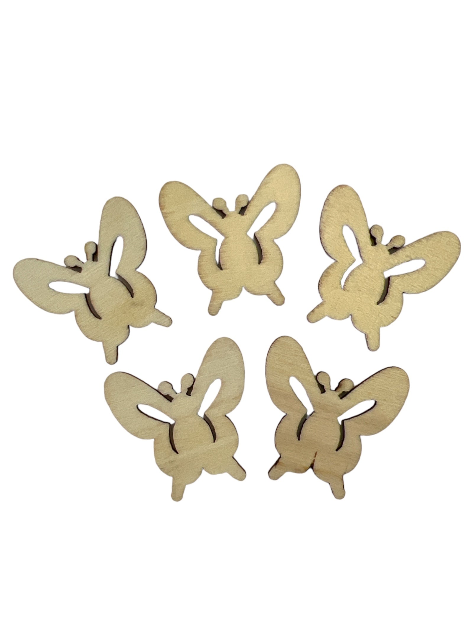 Photoroom_20240212_164151