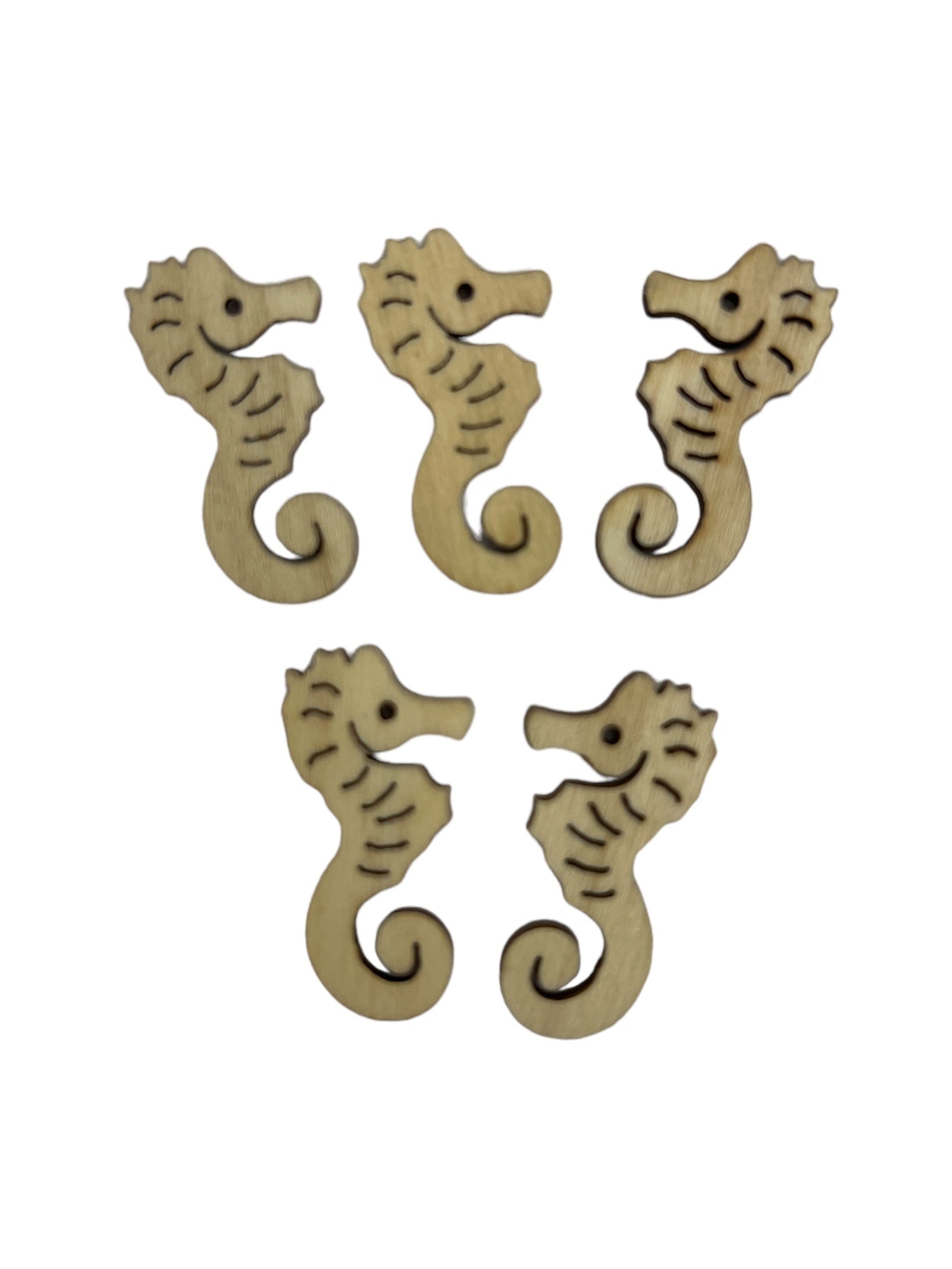 Photoroom_20240212_163721