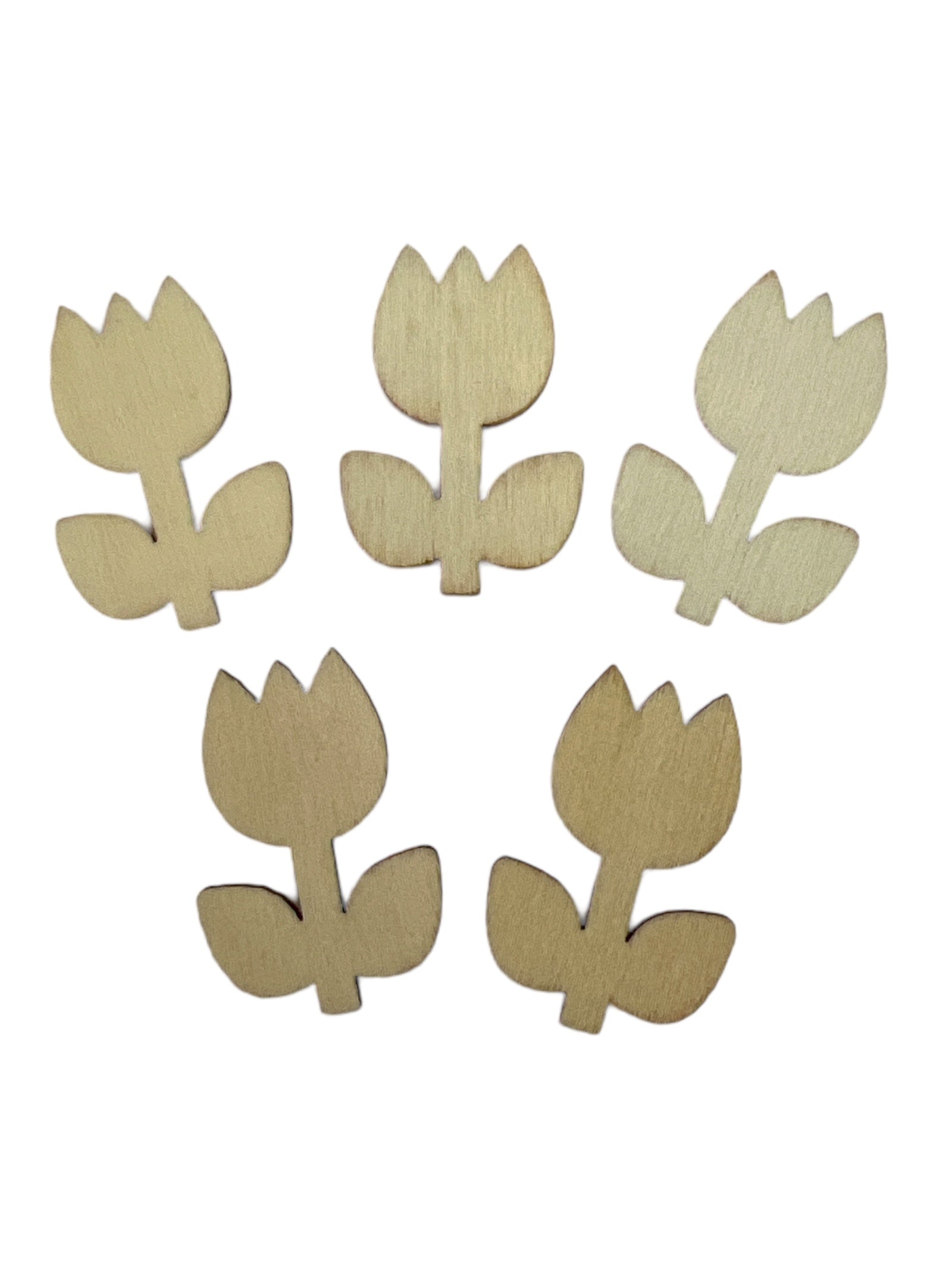 Photoroom_20240212_164344