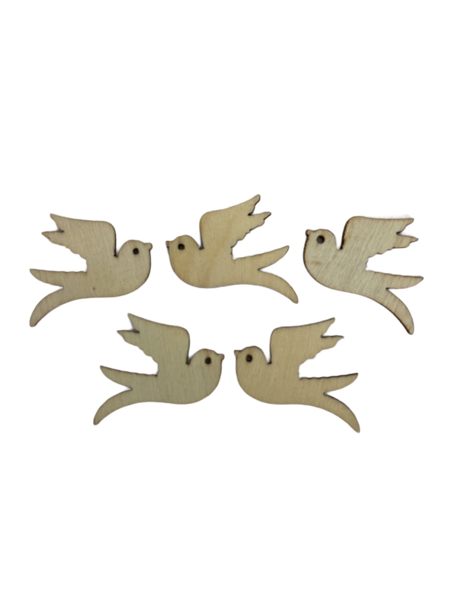 Photoroom_20240212_163944