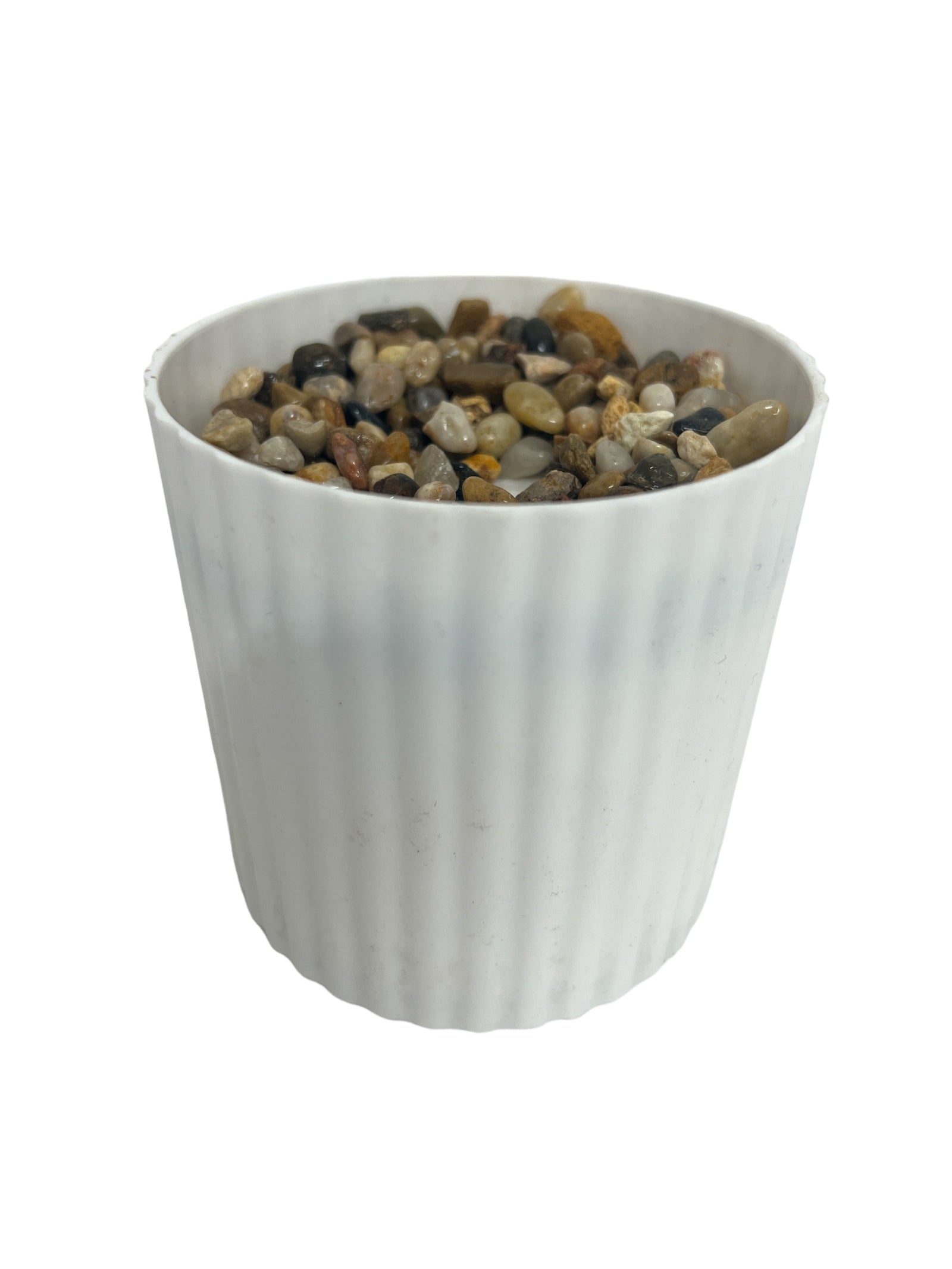 Photoroom_20240213_163916