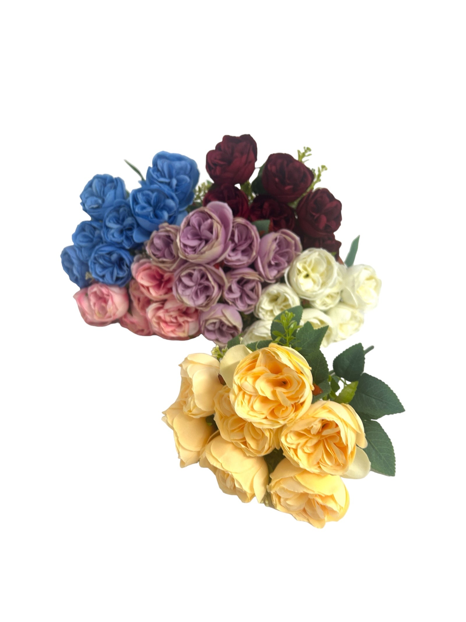 Photoroom_20240213_160020