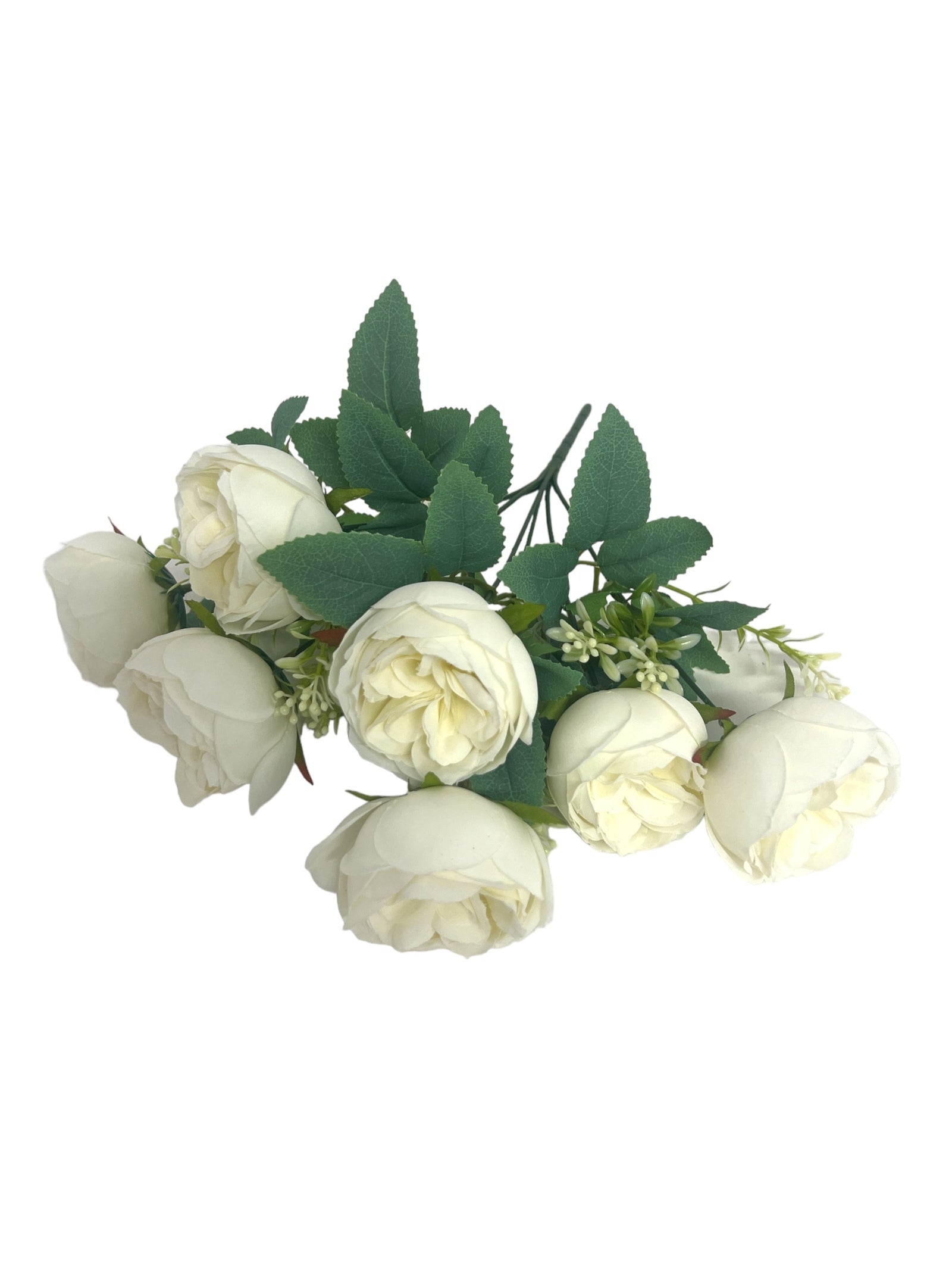 Photoroom_20240213_160948