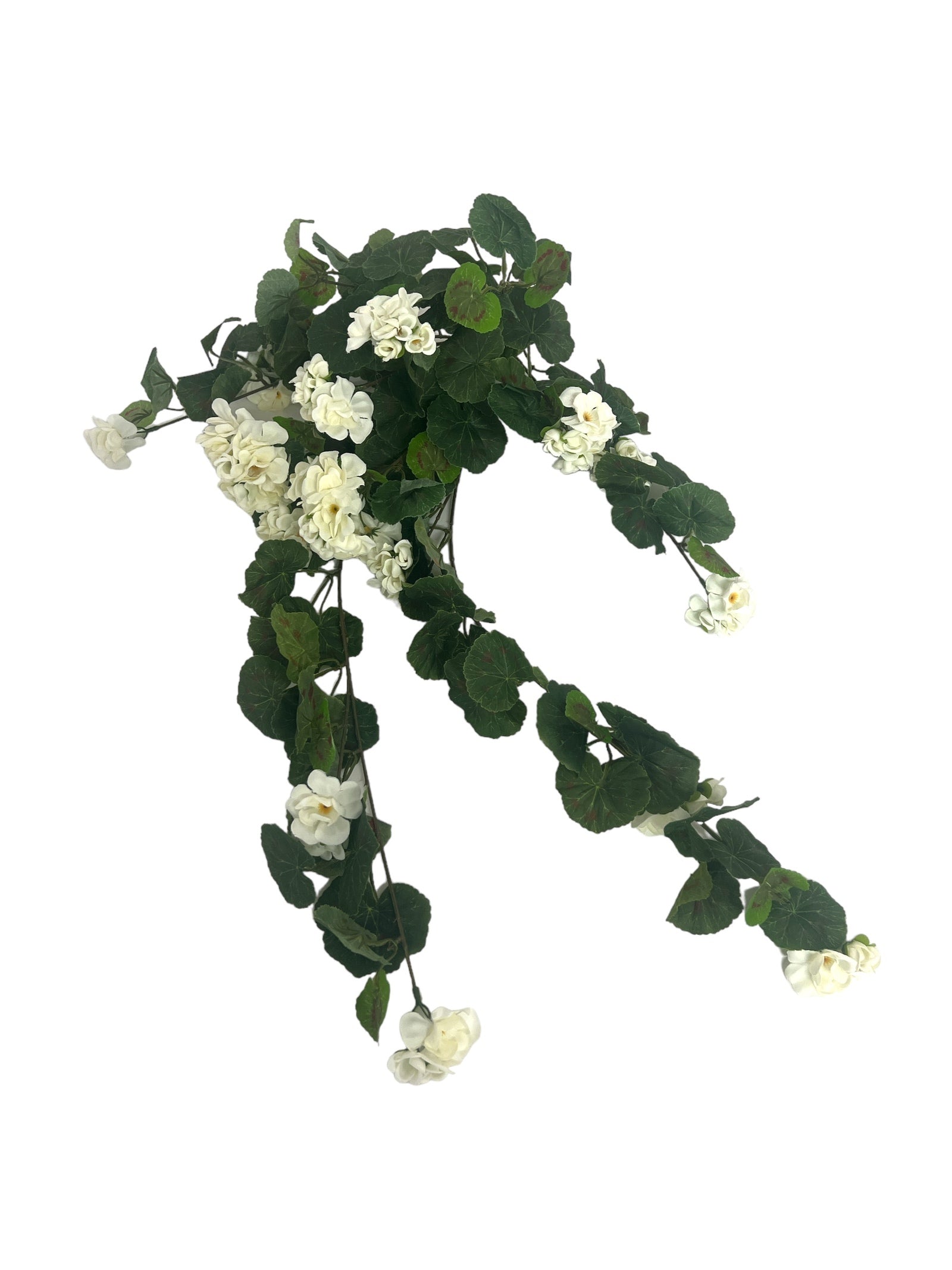 Photoroom_20240213_154818