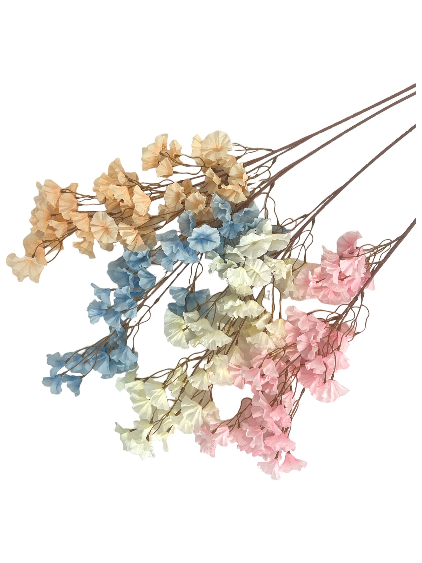 Photoroom_20240213_145403