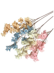 Photoroom_20240213_145403