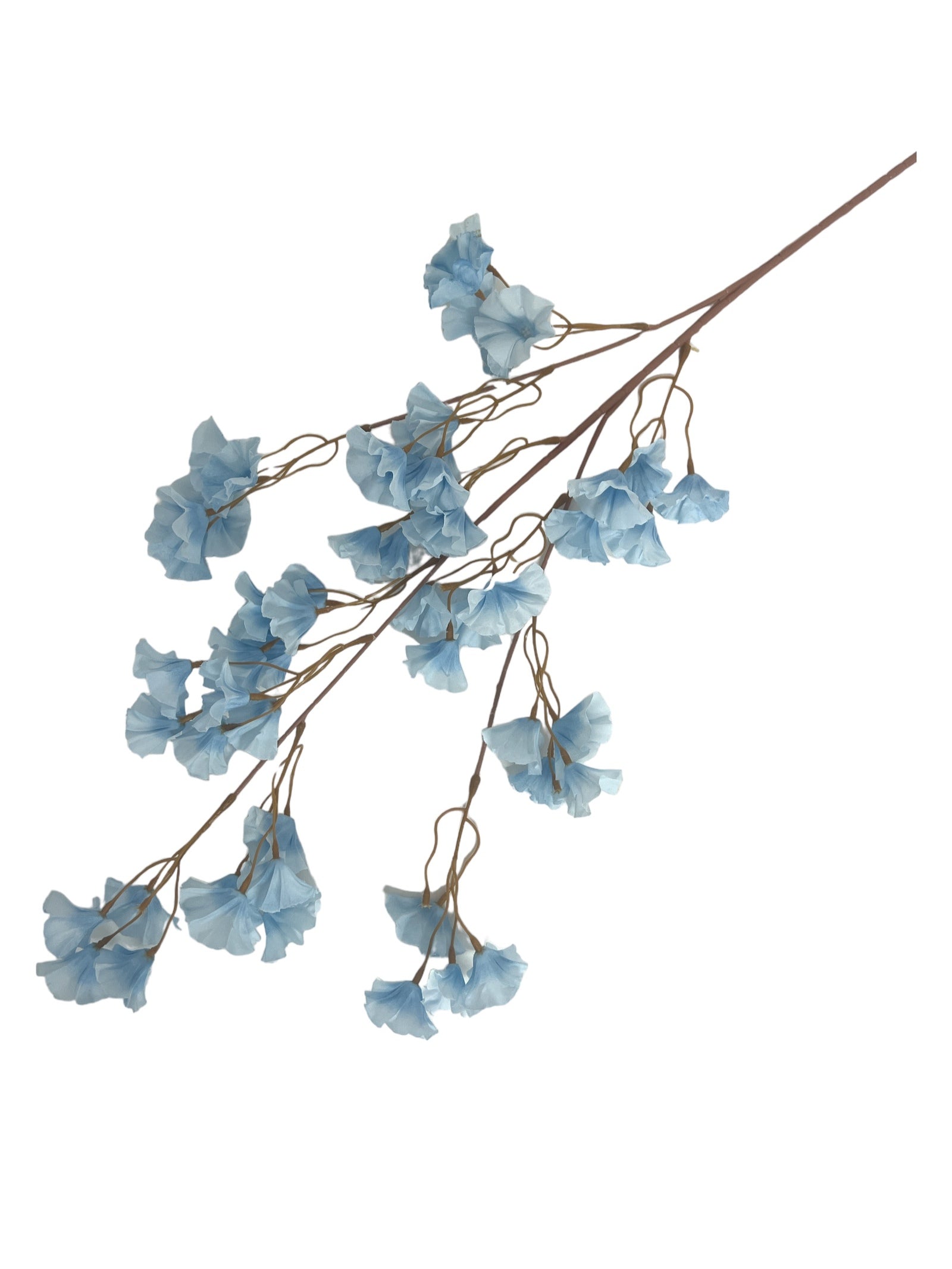 Photoroom_20240213_145852