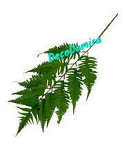 Photoroom_20240215_141122