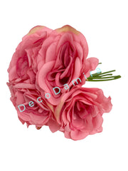 Photoroom_20240215_142550