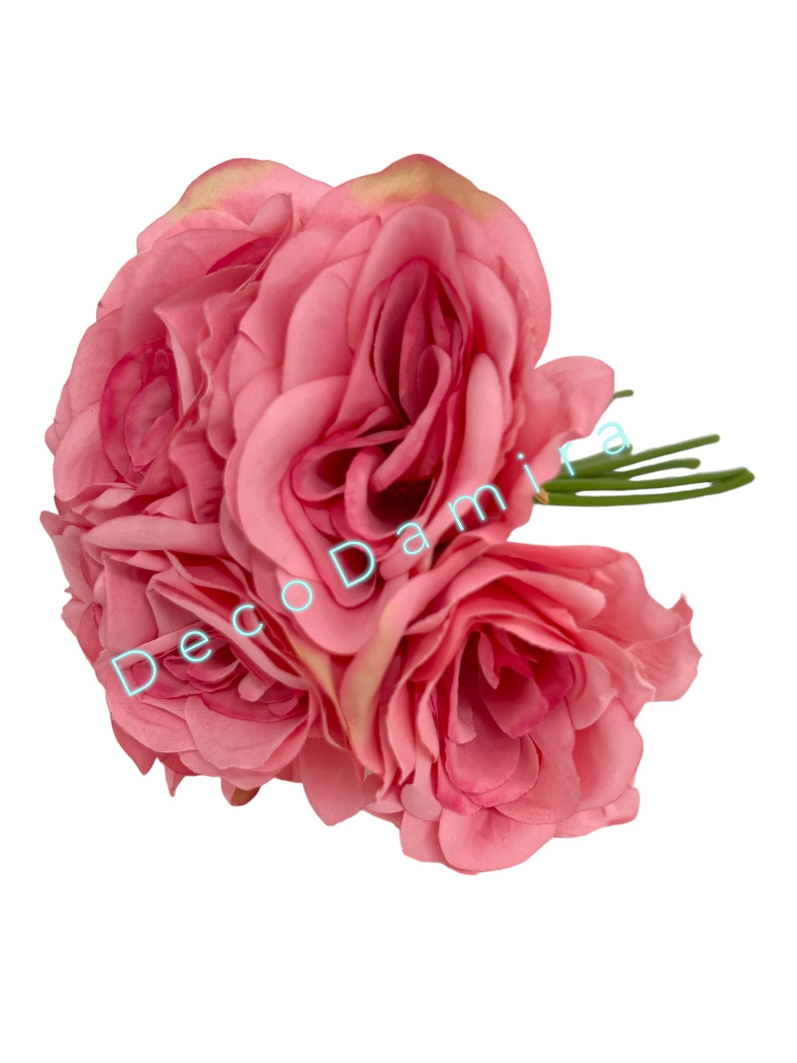 Photoroom_20240215_142550