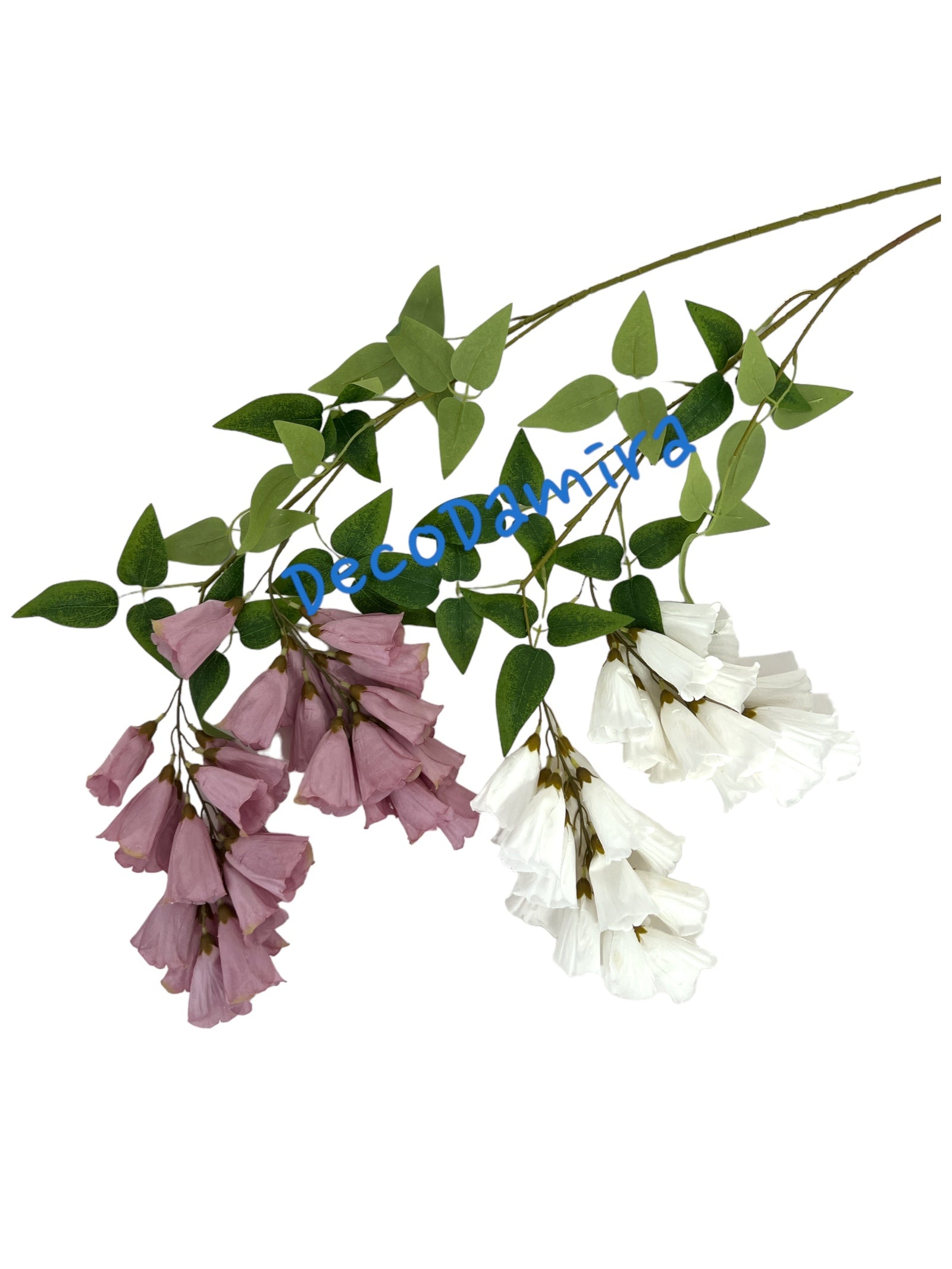 Photoroom_20240215_141507