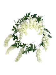 Photoroom_20250312_164422