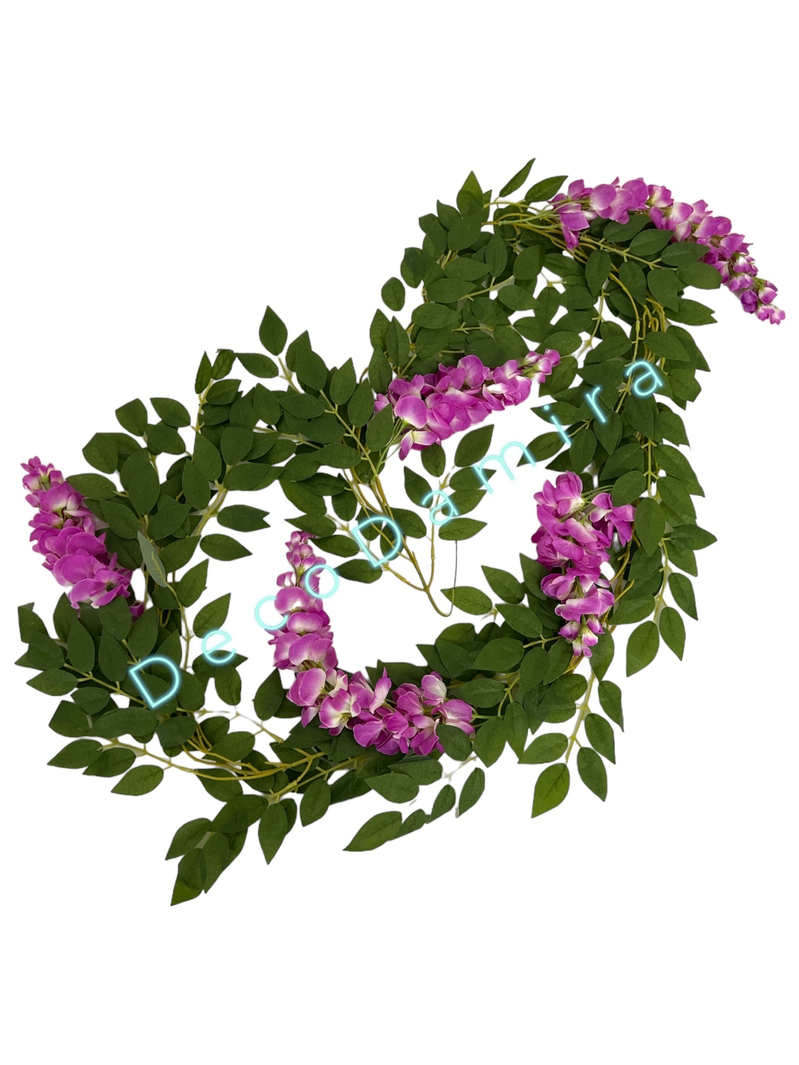 Photoroom_20240215_152226