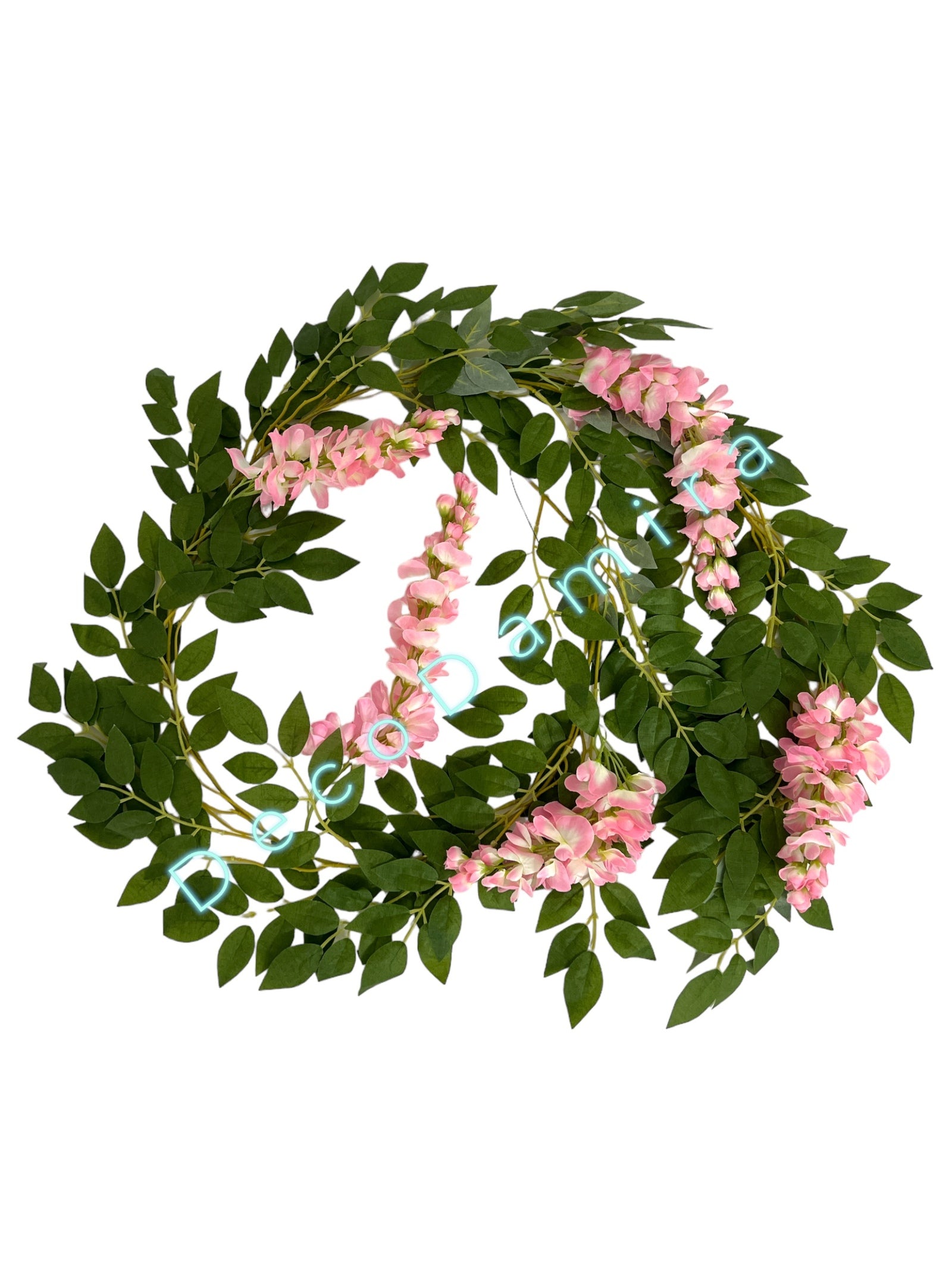 Photoroom_20240215_152458