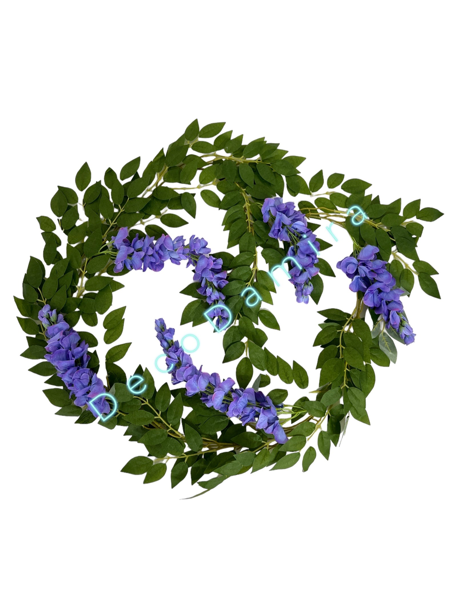 Photoroom_20240215_152721