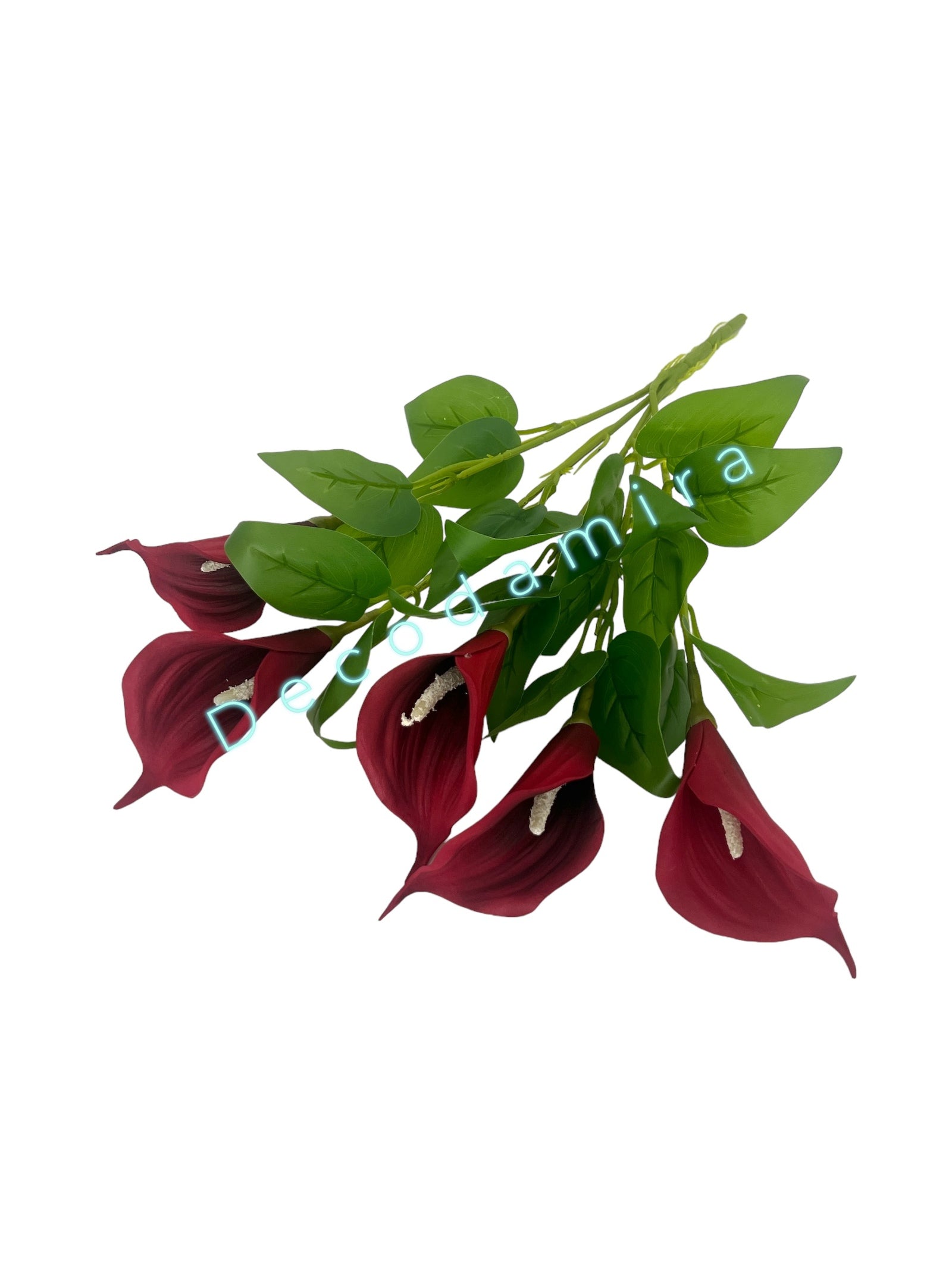 Photoroom_20240701_150752