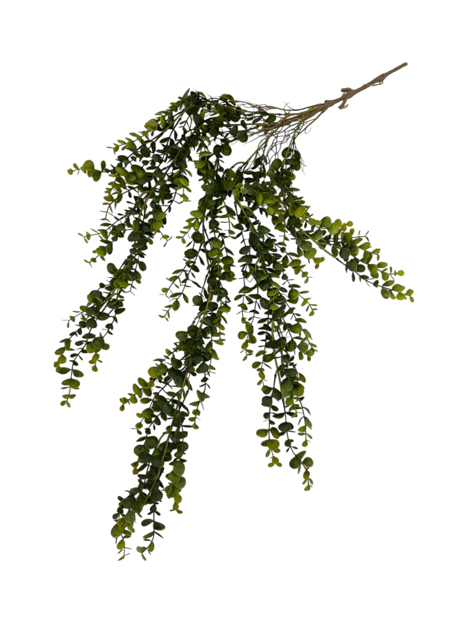 Photoroom_20250613_161720