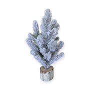 Photoroom_20251014_094406