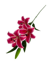 Flori Arificiale Fir De Crin Roz-Ciclam