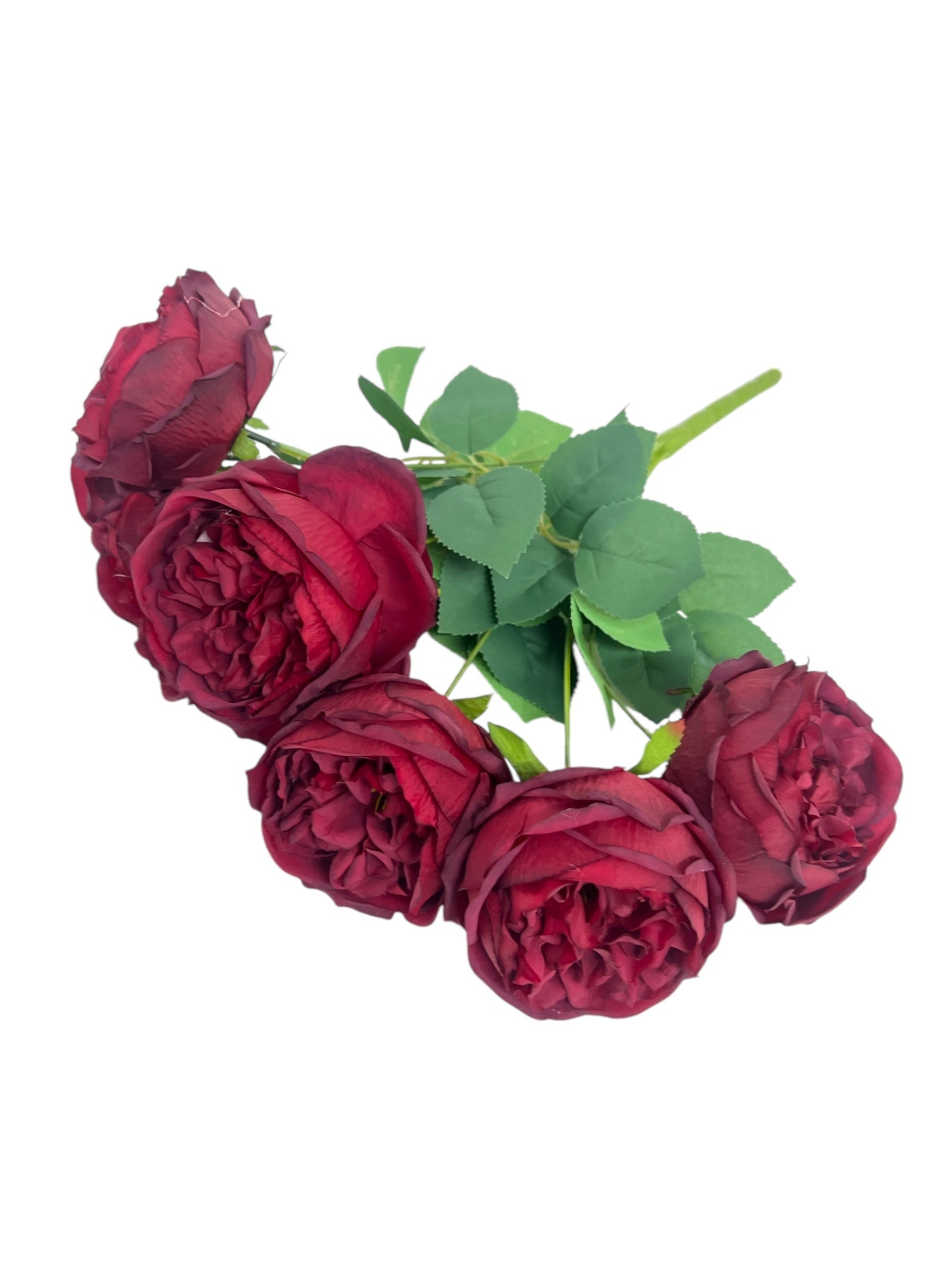 Photoroom_20241217_114702