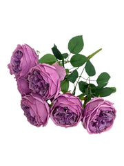 Photoroom_20241217_114652