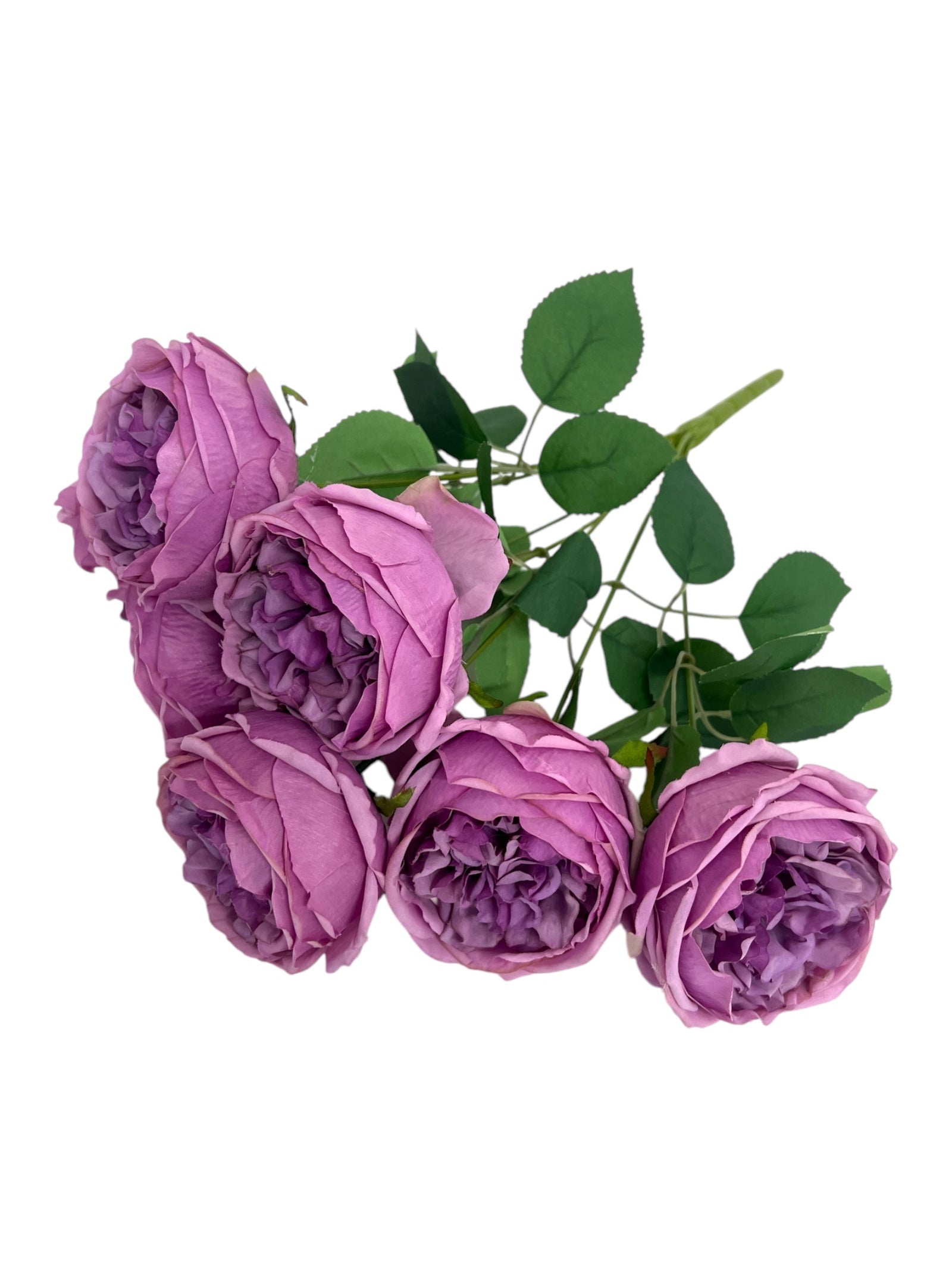 Photoroom_20241217_114652