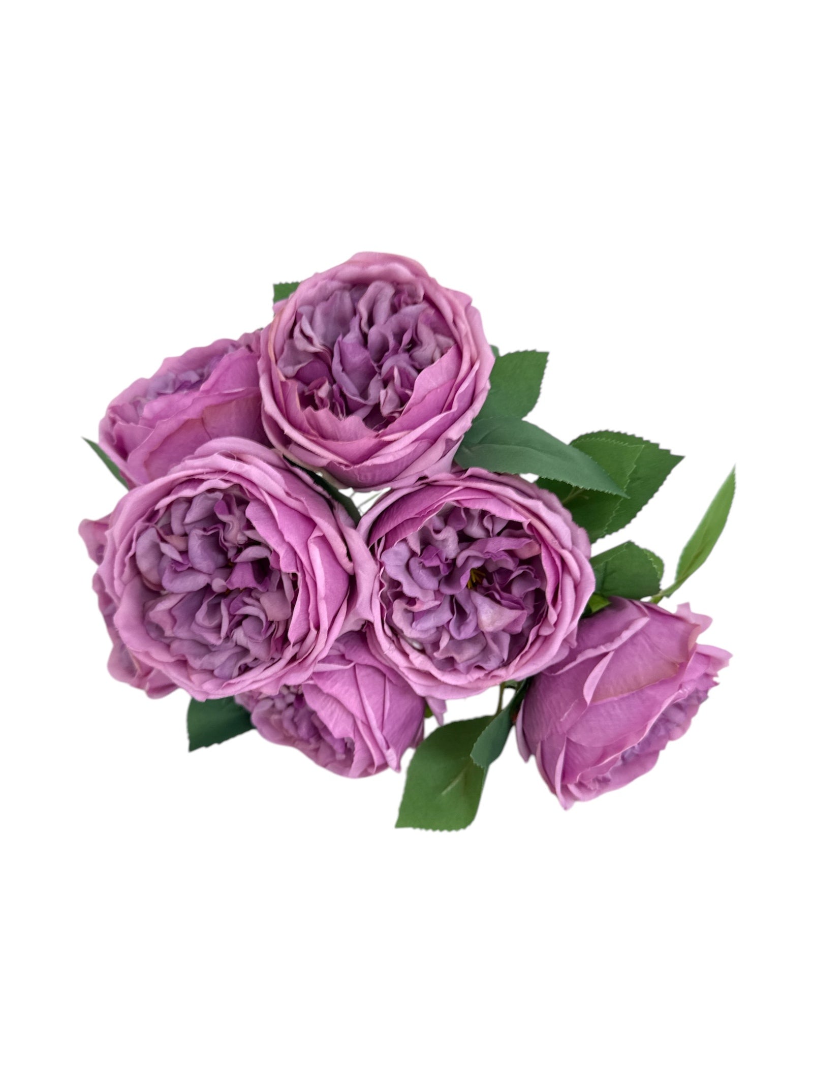 Photoroom_20250502_121813