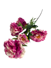 Photoroom_20241217_114255